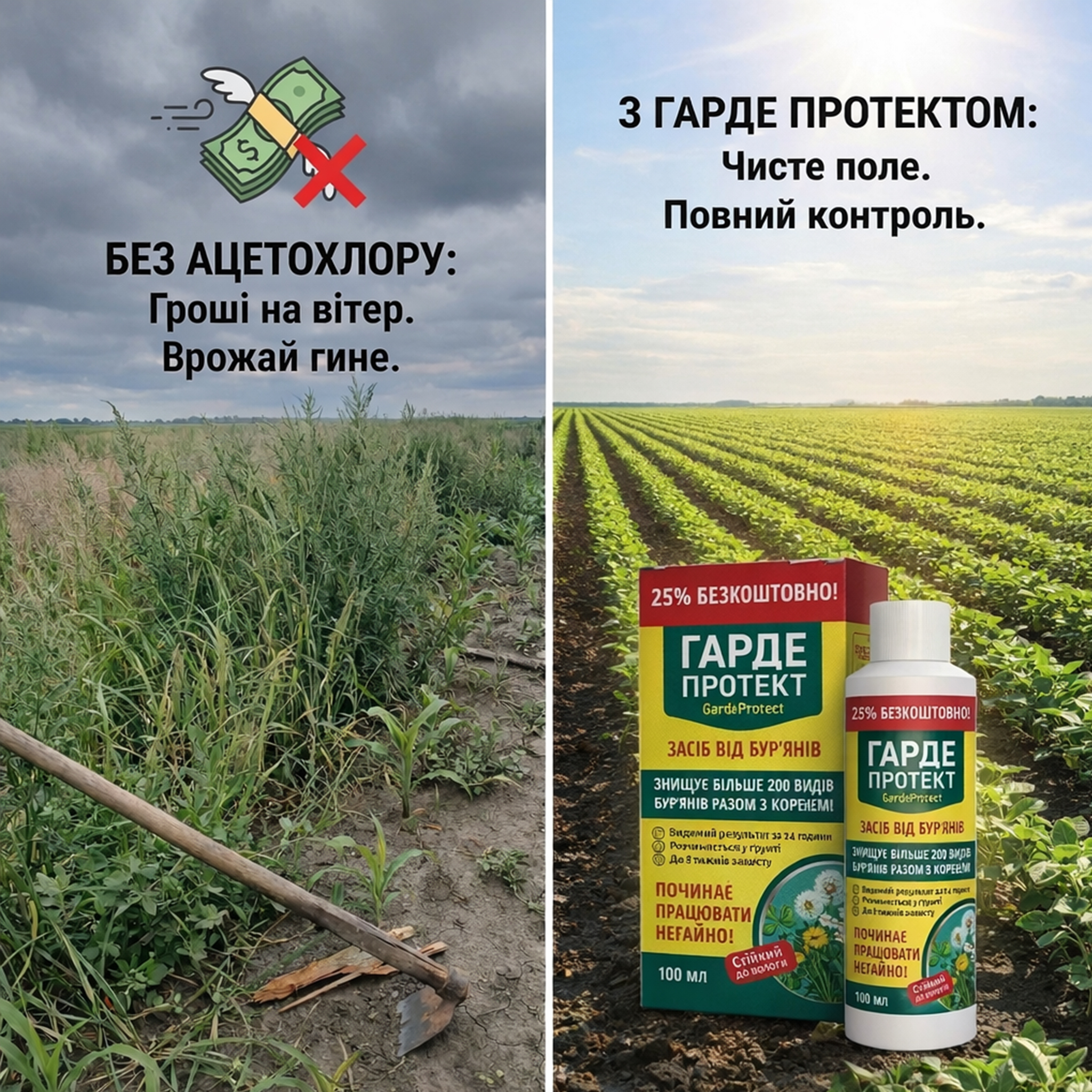 Бур'ян на городі